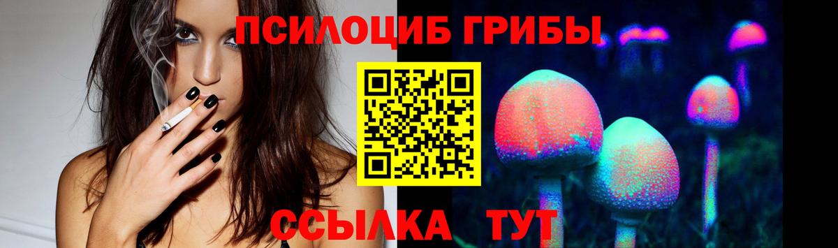 даркнет сайт  Вход с VPN  Ирбит  Галлюциногенные грибы MAGIC MUSHROOMS 